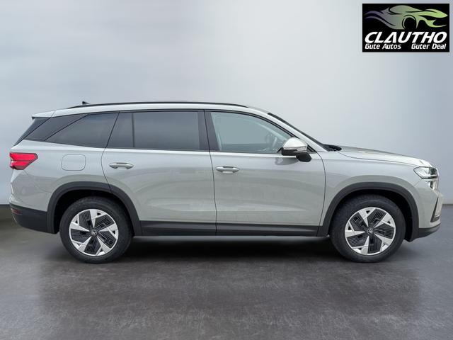 Skoda Kodiaq Grau 2.0 TSI 4x4 kaufen 