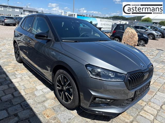 Skoda / Fabia / Grau / / / , Beispielbilder, ggf. teilweise mit Sonderausstattung