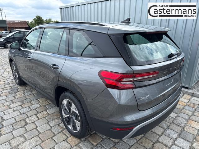 Skoda / Kodiaq / Grau / / / , Beispielbilder, ggf. teilweise mit Sonderausstattung