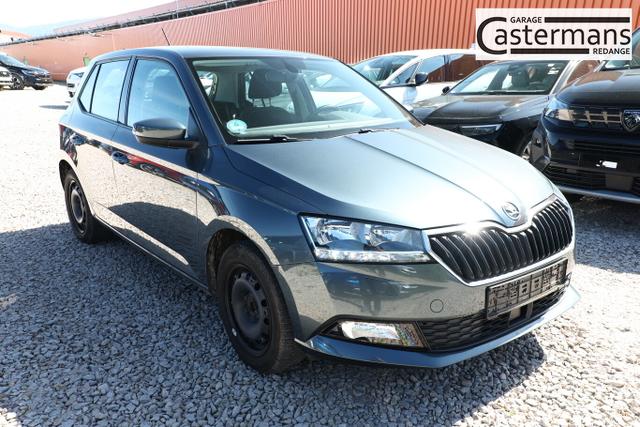 Skoda Fabia Ambition 1.0 TSI 110 DSG Nav PDC SHZ 