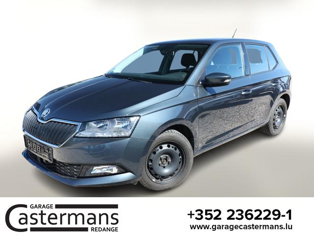 Skoda Fabia - Ambition 1.0 TSI 110 DSG Nav PDC SHZ