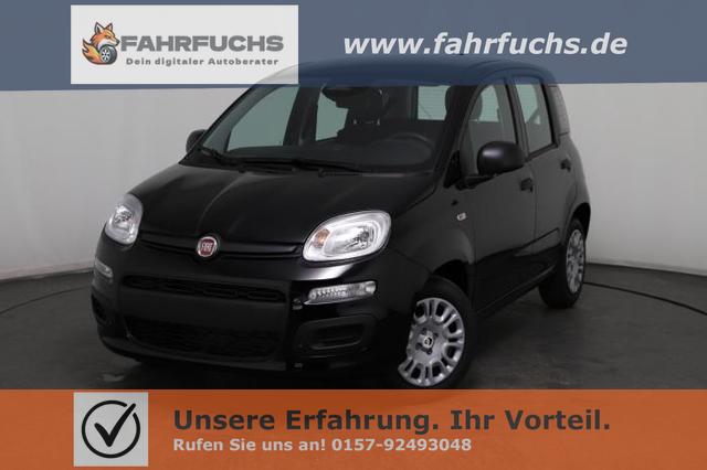 Fiat Panda - Pandina Icon (Pandina Icon) 1.0 Mild-Hybrid (65PS) 6-Gang Schaltgetriebe