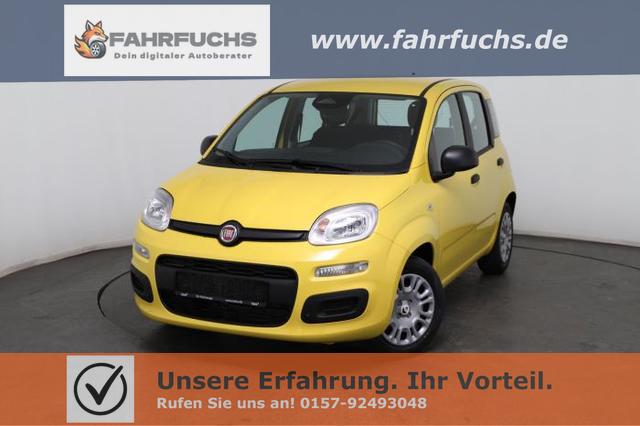 Fiat Panda - Pandina Icon (Pandina Icon) 1.0 Mild-Hybrid (65PS) 6-Gang Schaltgetriebe