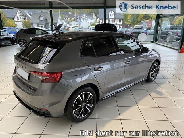 Fabia Monte Carlo 