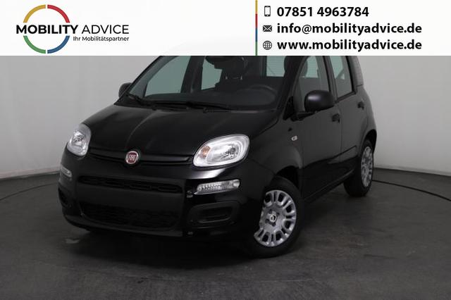 Fiat Panda - Pandina Icon (Pandina Icon) 1.0 Mild-Hybrid (65PS) 6-Gang Schaltgetriebe