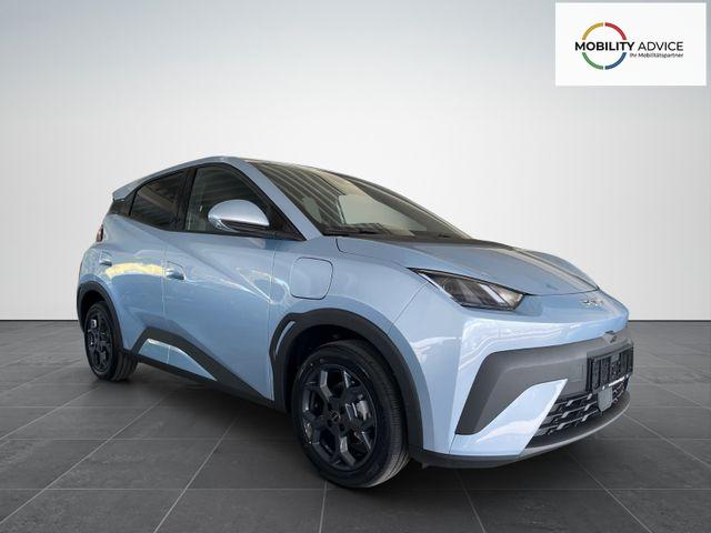 BYD Dolphin SURF Comfort/ACC/LEDER/360&deg;/SHZ/NAV/ 