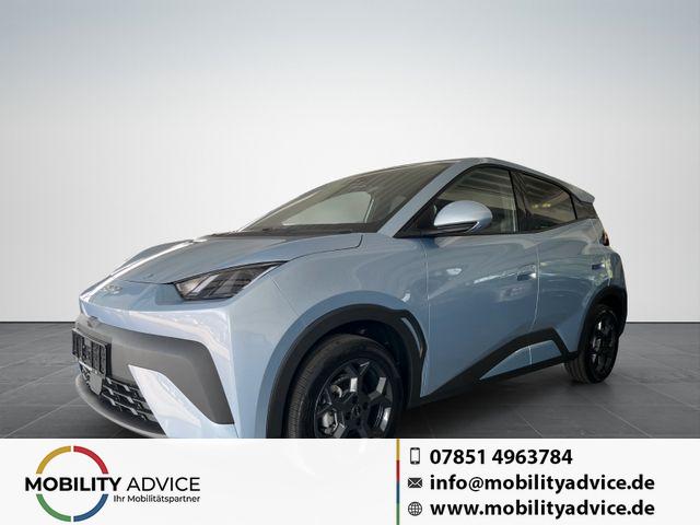 BYD Dolphin - SURF Comfort/ACC/LEDER/360&deg;/SHZ/NAV/