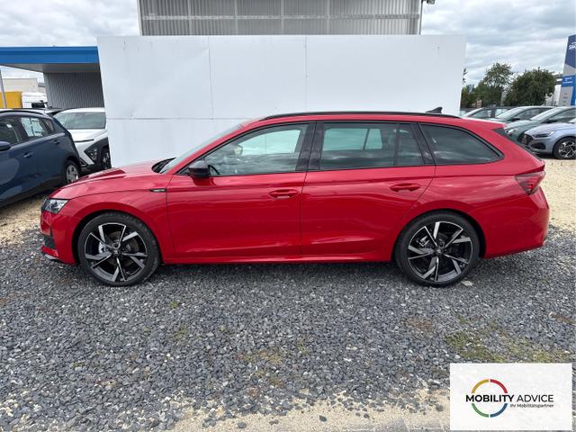 Skoda / Octavia / Grau / / / 
