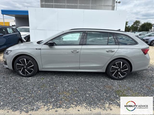 Skoda / Octavia / Grau / / / 