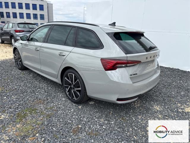 Skoda / Octavia / Grau / / / 
