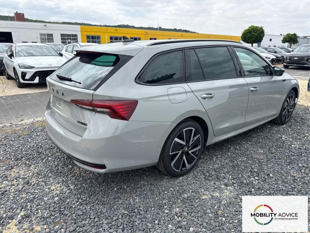 Skoda / Octavia / Grau / / / 