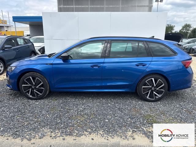 Skoda / Octavia / Grau / / / 
