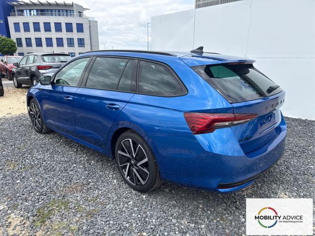 Skoda / Octavia / Grau / / / 