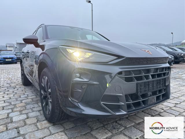 Cupra / Terramar / Grau / / / 