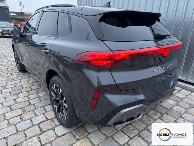Cupra / Terramar / Grau / / / 
