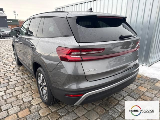 Skoda / Kodiaq / / / / , Beispielbilder, ggf. teilweise mit Sonderausstattung