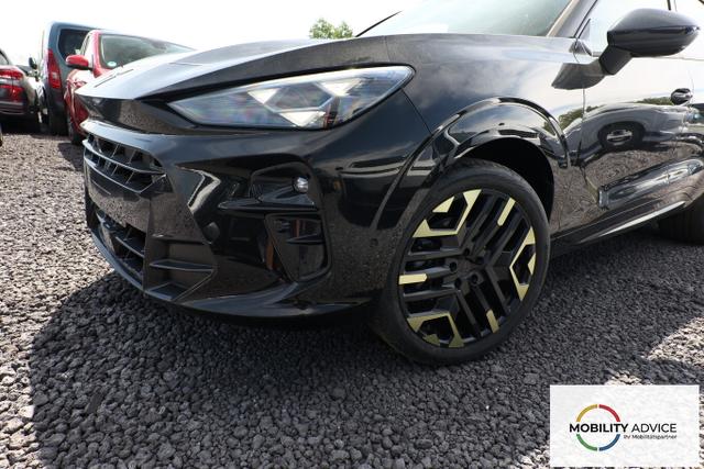 Cupra Terramar Tribe Edition DSG HeadUp 360&deg; Sennh el.Hk ParkA 