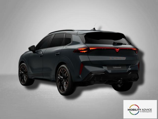 Cupra Terramar VZ 2.0 TSI 7-Gang-DSG 4Drive 
