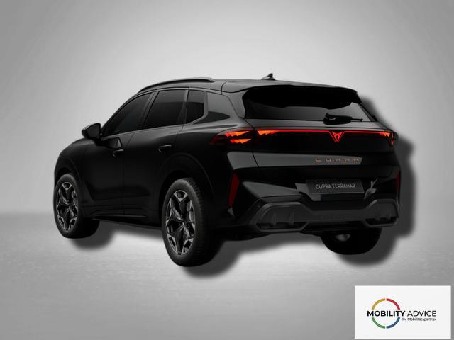 Cupra Terramar VZ 2.0 TSI 4Drive DSG 265 PS 