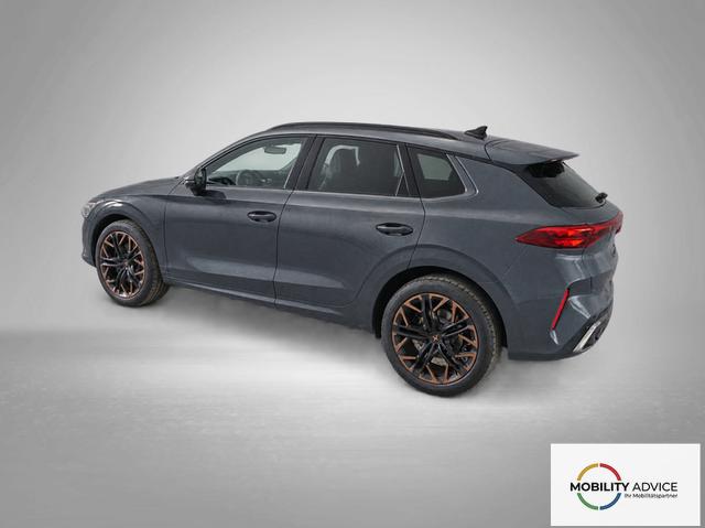 Cupra Terramar VZ 2.0 TSI 7-Gang-DSG 4Drive 