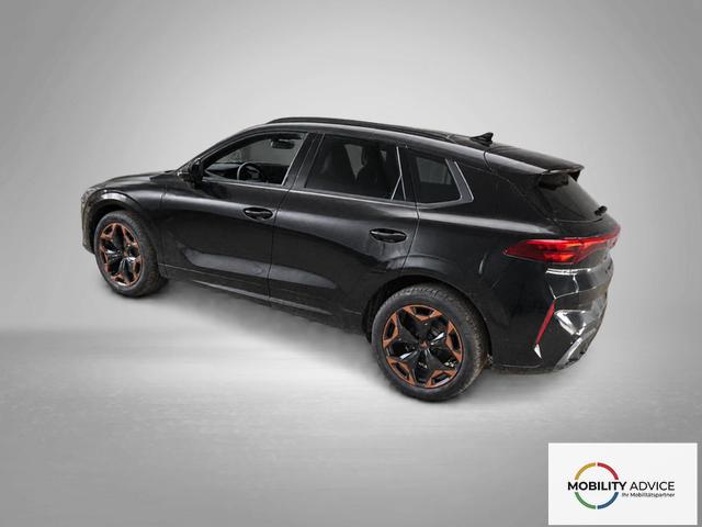 Cupra Terramar VZ 2.0 TSI 7-Gang-DSG 4Drive 