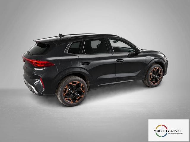 Cupra Terramar VZ 2.0 TSI 7-Gang-DSG 4Drive 