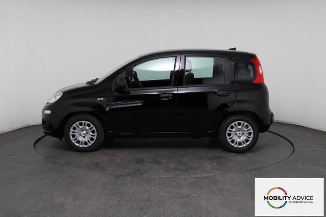 Fiat Panda Pandina Icon (Pandina Icon) 1.0 Mild-Hybrid (65PS) 6-Gang Schaltgetriebe 