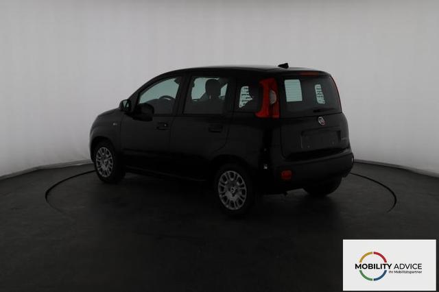 Fiat Panda Pandina Icon (Pandina Icon) 1.0 Mild-Hybrid (65PS) 6-Gang Schaltgetriebe 
