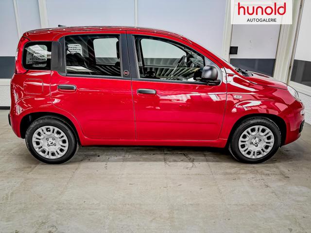 Fiat Panda Pandina KLIMA PDC EL.PAKET 5 Kopfst&uuml;tzen 