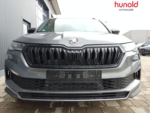 Skoda / Karoq / Grau / / / , Beispielbilder, ggf. teilweise mit Sonderausstattung