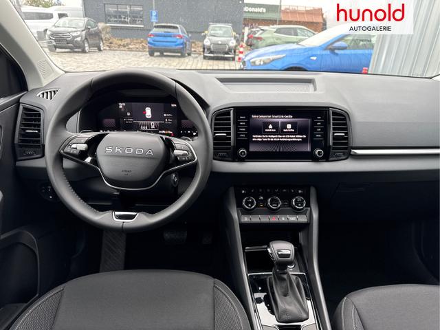 Skoda / Karoq / Grau / / / , Beispielbilder, ggf. teilweise mit Sonderausstattung