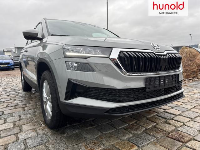 Skoda / Karoq / Grau / / / , Beispielbilder, ggf. teilweise mit Sonderausstattung