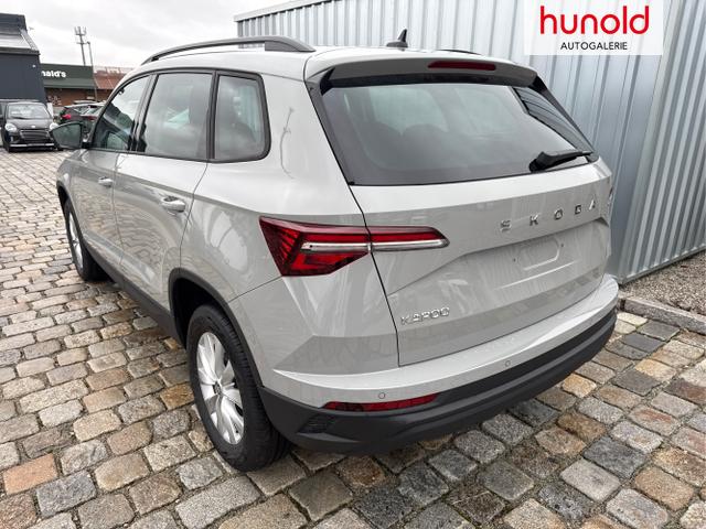 Skoda / Karoq / Grau / / / , Beispielbilder, ggf. teilweise mit Sonderausstattung
