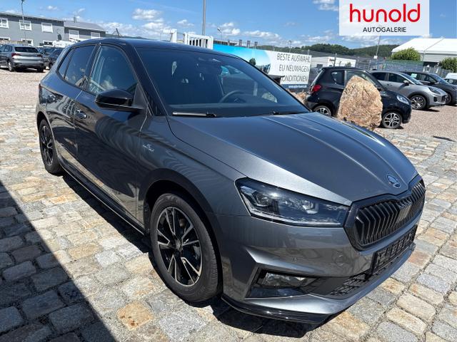 Skoda / Fabia / Grau / / / , Beispielbilder, ggf. teilweise mit Sonderausstattung