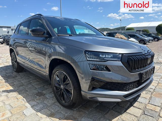 Skoda / Karoq / Grau / / / , Beispielbilder, ggf. teilweise mit Sonderausstattung