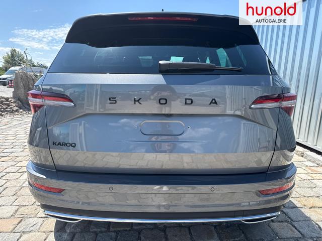 Skoda / Karoq / Grau / / / , Beispielbilder, ggf. teilweise mit Sonderausstattung