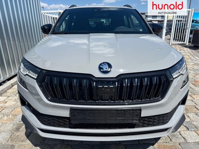 Skoda / Karoq / Grau / / / , Beispielbilder, ggf. teilweise mit Sonderausstattung