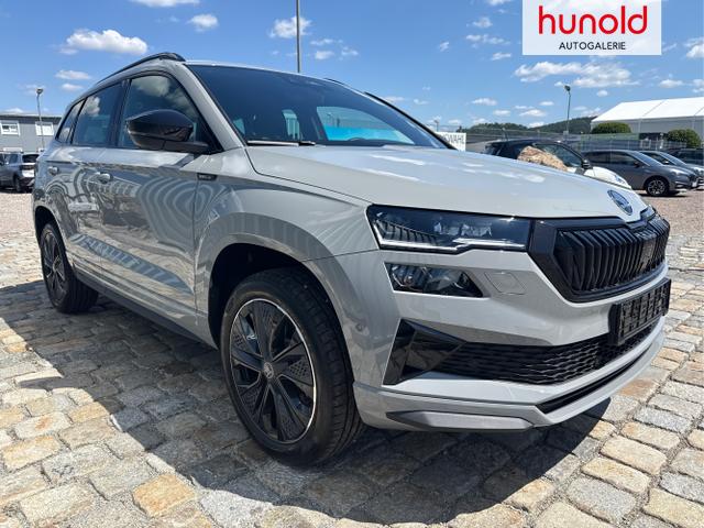 Skoda / Karoq / Grau / / / , Beispielbilder, ggf. teilweise mit Sonderausstattung