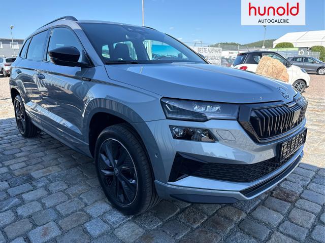 Skoda / Karoq / Grau / / / , Beispielbilder, ggf. teilweise mit Sonderausstattung