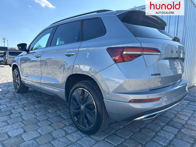 Skoda / Karoq / Grau / / / , Beispielbilder, ggf. teilweise mit Sonderausstattung