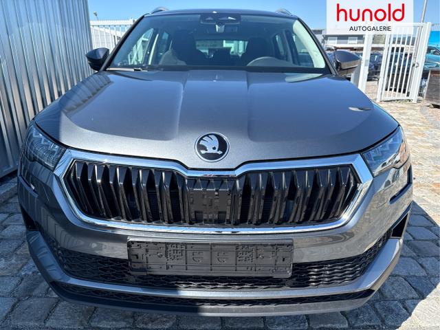 Skoda / Karoq / Grau / / / , Beispielbilder, ggf. teilweise mit Sonderausstattung