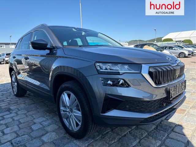 Skoda / Karoq / Grau / / / , Beispielbilder, ggf. teilweise mit Sonderausstattung