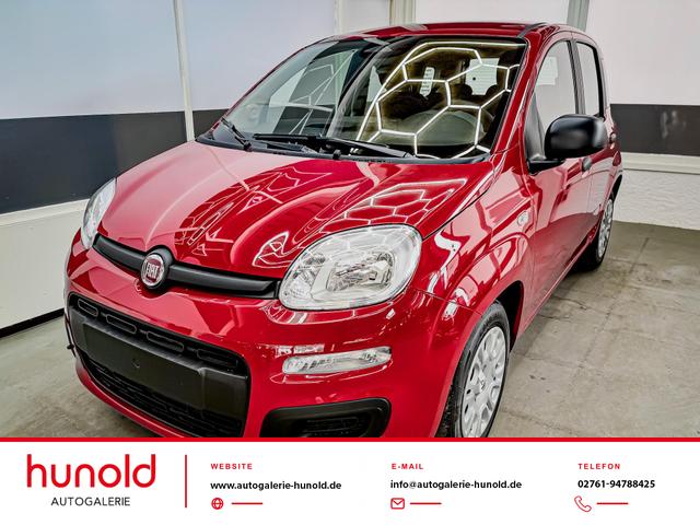 Fiat Panda - Pandina KLIMA PDC EL.PAKET 5 Kopfst&uuml;tzen