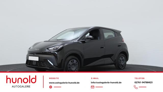 BYD Dolphin Surf - Active 30 kWh / Navi ACC PDC H + Kamera Klimaautomatik