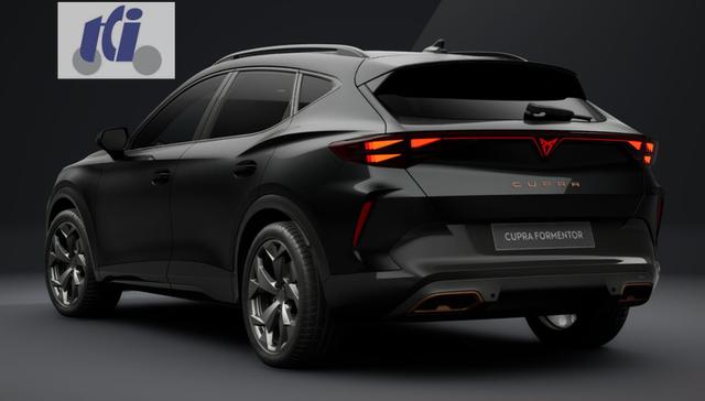 Cupra Formentor VZ 2.0 TSI 7-Gang-DSG 4Drive 