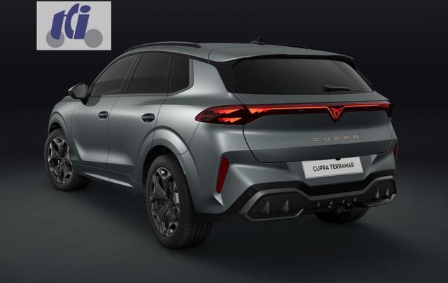 Cupra Terramar VZ 2.0 TSI 7-Gang-DSG 4Drive 