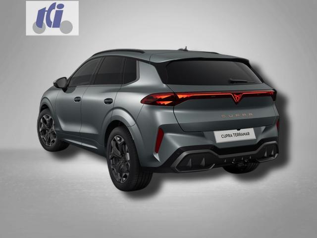 Cupra Terramar VZ 2.0 TSI 7-Gang-DSG 4Drive 