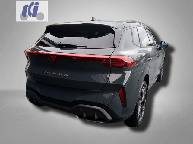 Cupra Terramar VZ 2.0 TSI 7-Gang-DSG 4Drive 