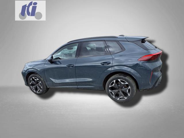 Cupra Terramar VZ 2.0 TSI 7-Gang-DSG 4Drive 