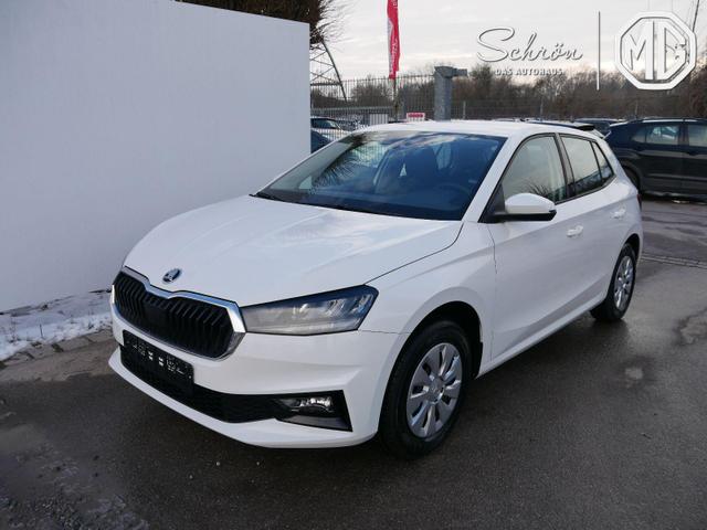 Skoda Fabia - Selection 1.0 TSI *NAVI-&Uuml;BER-SMARTLINK*PDC-HI*LED*SHZ*KLIMA*RADIO